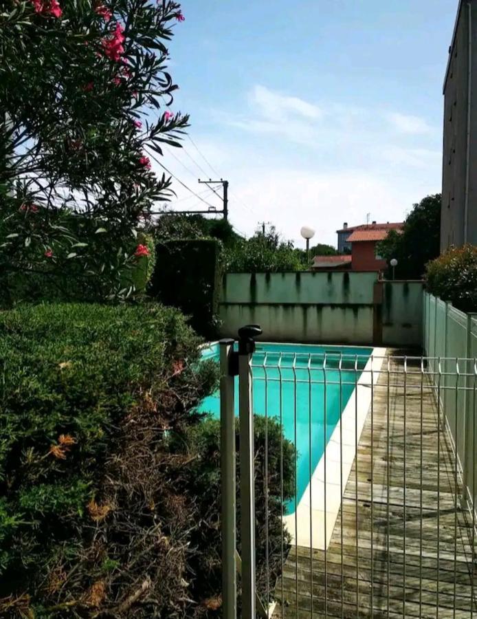 Bel Appartement Proche Du Canal Du Midi Tuluza Zewnętrze zdjęcie