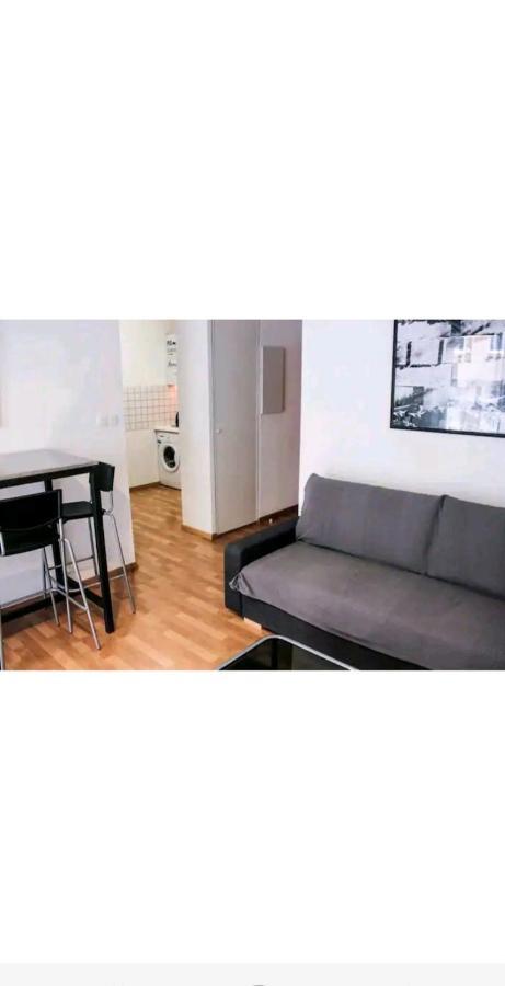 Bel Appartement Proche Du Canal Du Midi Tuluza Zewnętrze zdjęcie